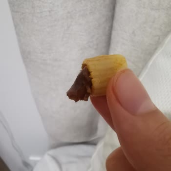 Oba Makarnanın İçinden Çıkan Madde