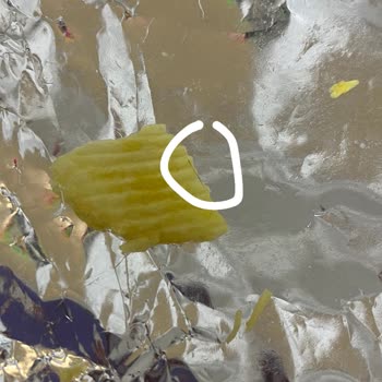 Ruffles Kıl Çıktı Şikayeti Dikkate Alır Mısınız