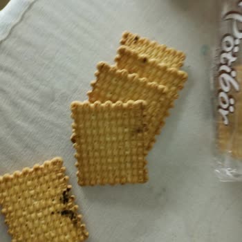 Torku Makine Motor Yağlı Bisküvi