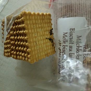 Torku Makine Motor Yağlı Bisküvi