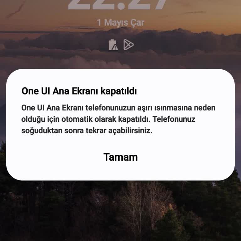 Samsung Telefon Cihaz Hata Veriyor