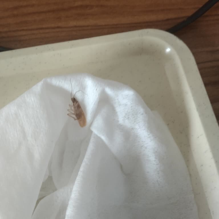 Adana Şehir Hastanesi C Blok 5. Kat Kadın Doğum Servisi