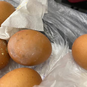 Yunus Market Organik Yumurtanın Küflü Çıkması