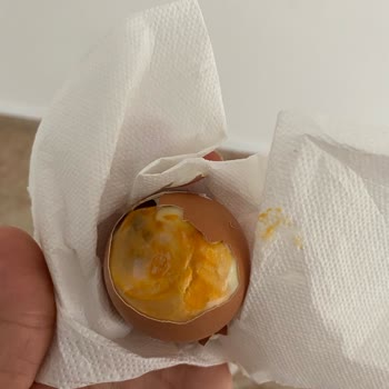 Yunus Market Organik Yumurtanın Küflü Çıkması