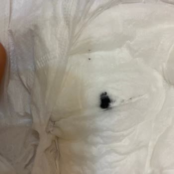 Sleepy Bebek Bezinde Siyah Boya