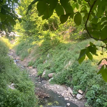İzmir Büyükşehir Belediyesi İzmir Kemalpaşa Dereköy Kanalizasyonu Hattı