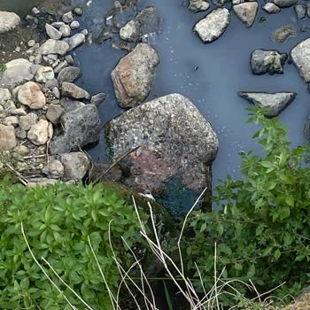İzmir Büyükşehir Belediyesi İzmir Kemalpaşa Dereköy Kanalizasyonu Hattı