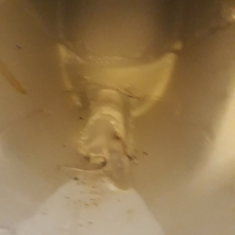 Ege Vitrifiye Klozette Çatlak Var