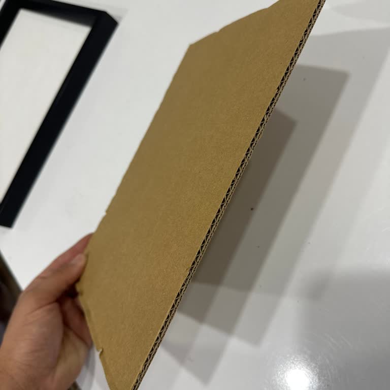 Bauhaus Mukavva Mı Karton Mu?