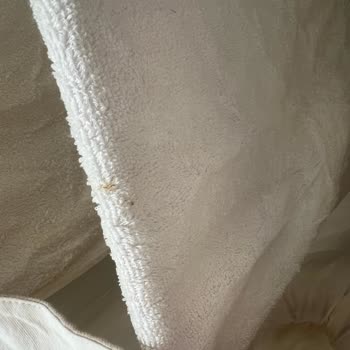 Persil Power Jel Derin Temizleme Deterjan Çamaşırları Pis Ve Gri Yaptı