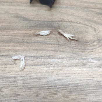 Kuaför Mesut Çeliker Başarısız Bir İşçilik