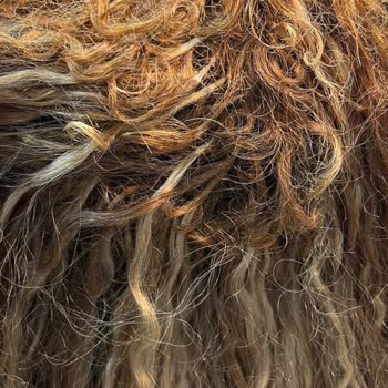 Kuaför Mesut Çeliker Başarısız Bir İşçilik