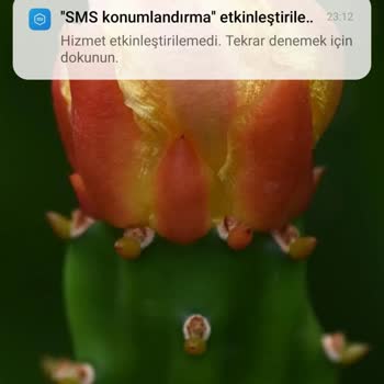 Xiaomi Redmi Note 8 Silindi