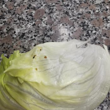 Komagene Etsiz Çiğköfteyi Böcekli Yiyorduk Neredeyse