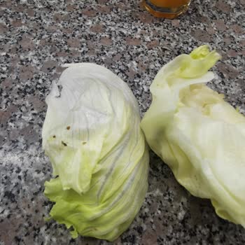 Komagene Etsiz Çiğköfteyi Böcekli Yiyorduk Neredeyse