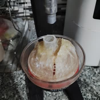 Sinbo Sto-6712 Profesyonel Narenciye