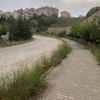 Tokat Belediyesi Topçam Akşemsettin Caddesi