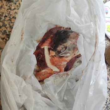 Anpa Gross Market Anpa Gross Bozuk Yerli Somon Satılıyor.