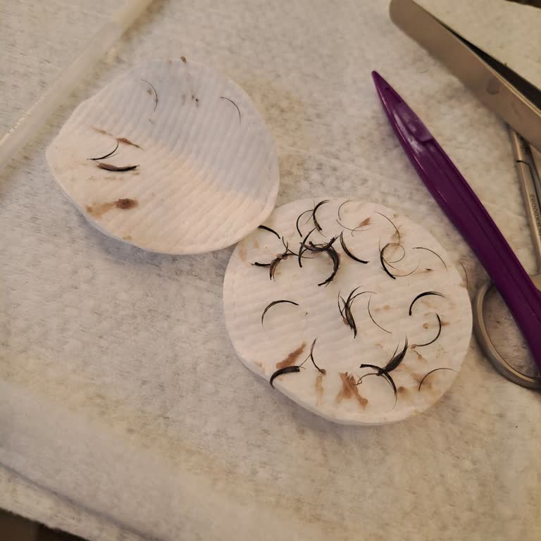 Aymira Koçaklı Yaşam Merkezi Hizmet Kalitesi Ve Uygulama Sorunları