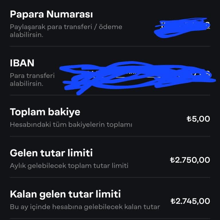 Papara'da Onaylanmış Hesap Sorunsalı