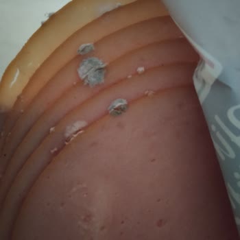 Migros Forum Bornova Şubesi Küflü Maret Hindi Füme