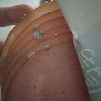 Migros Forum Bornova, Maret Marka Küflü Hindi Füme