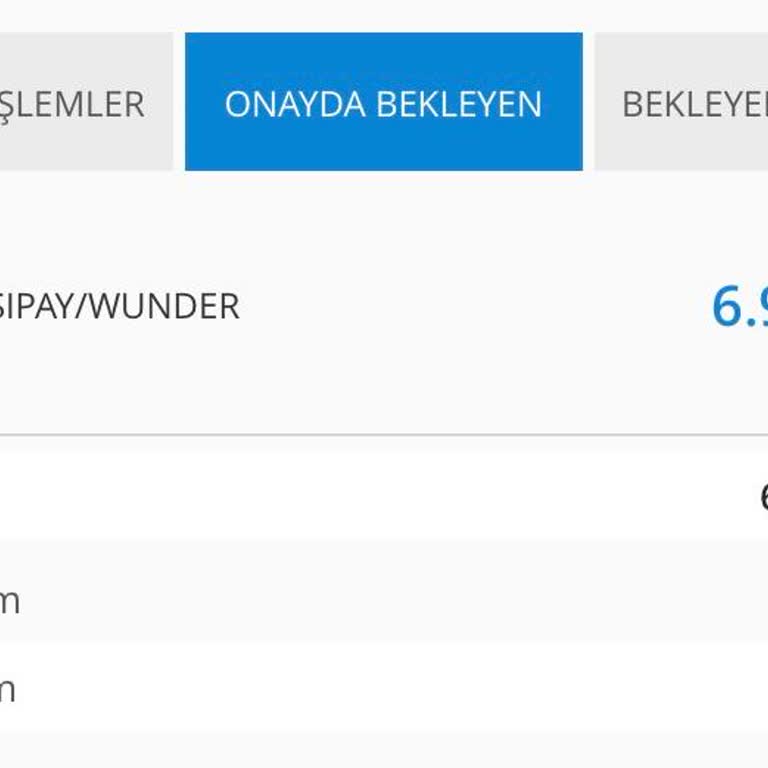 Kartımdan Wunder Tarafından 6.999₺ Para Çekildi