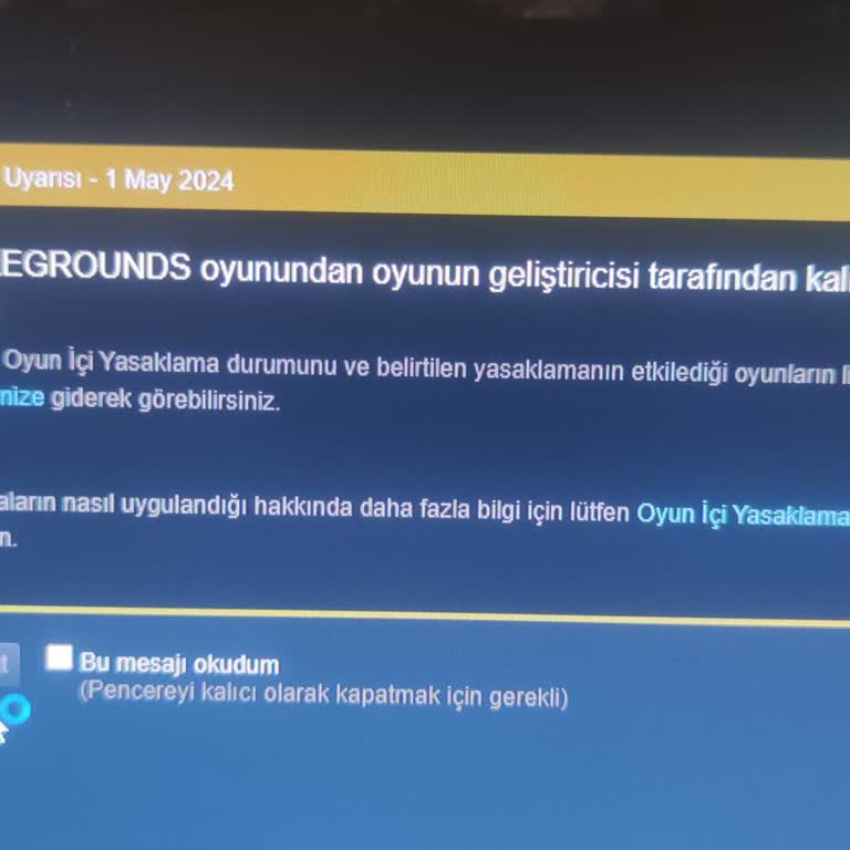 Pubgdestek.com Ani Ban Şoku: 3000 Saatlik PUBG Hesabım Engellendi!