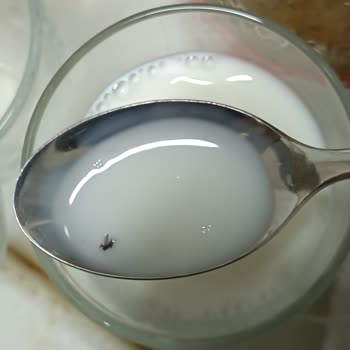 Dost Süt İçinden Sinek Çıktı