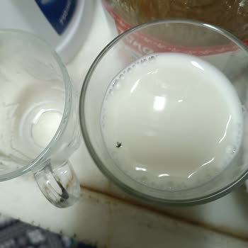 Dost Süt İçinden Sinek Çıktı