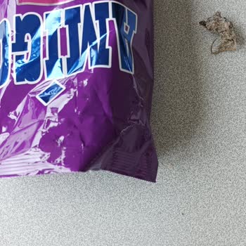 Amigo Çekirdeğinde Yavru Fare Çıktı