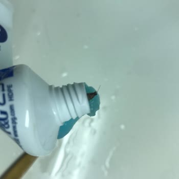 Migros'tan Almış Olduğum Oral-b Diş Macunu İçerisinden Çıkan Böcek