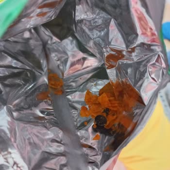 Patos Cipsin İçinde Çivinin Ne İşi Var