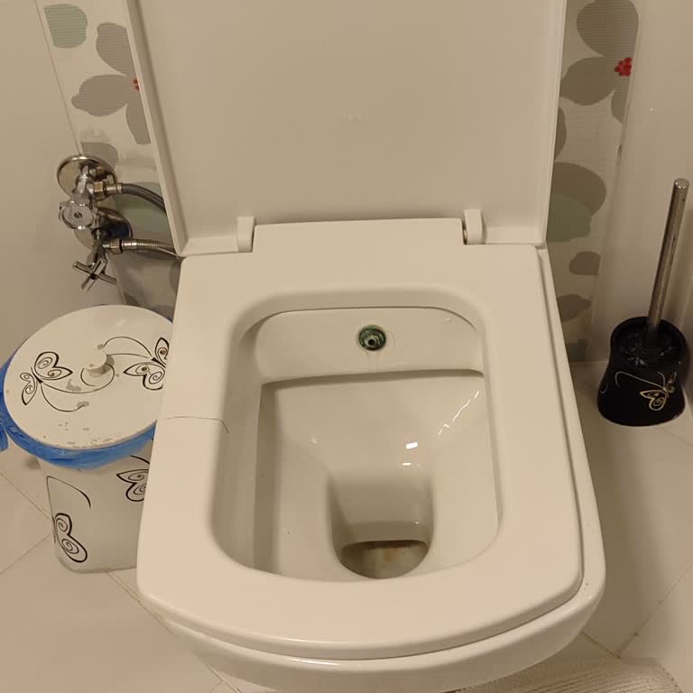 Kale Klozet Kapağı Kırılma Sorunu