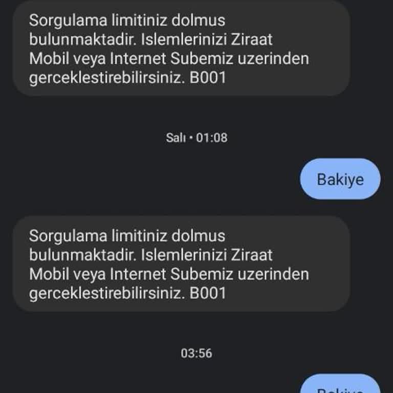 Ziraat Bankası 4747 Bakiye Sorgulama