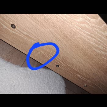 Vivense'yi Asla Düşünmeyin Bile