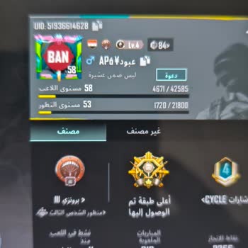 My PUBG (Pubgmobile.com) Has Been Blocked