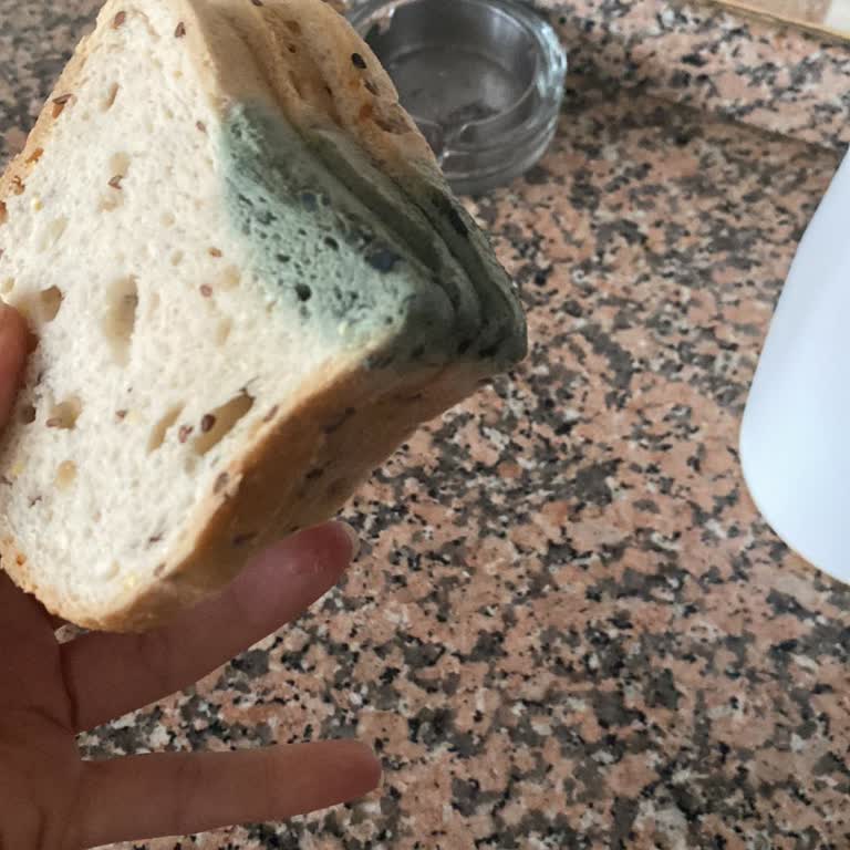 Migros Glutensiz Ekmeğin Küflü Çıkması Ve Mağduriyetim