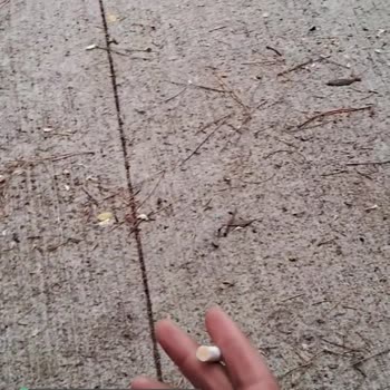 Gelecek Varlık Yönetim İcra Dosyası Kapalı Olduğu Halde Açık Gösteriliyor!