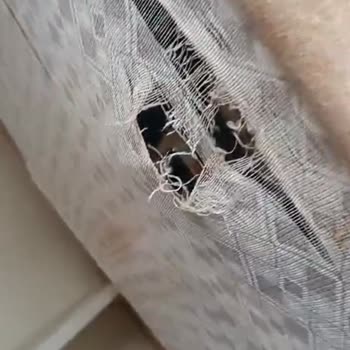 Selamoğlu Mobilya Halı Perde Çeyiz (selamogluhomeconsept) Alınan Mobilyalar 3 Ay'da Çöp Oldu