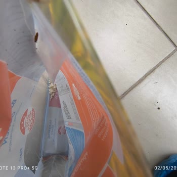 A101 Marketten Almış Olduğum Hasata Marka Pilavlık Pirinç Kutlu Çıktı