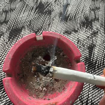 Philip Morris İçinden Odun Çıktı