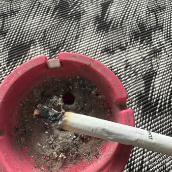 Philip Morris İçinden Odun Çıktı