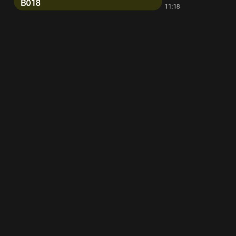 Güvence Hesabı, Üzerime Kayıtlı Olamayan Araçla İlgili Mesaj
