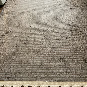 Ada Halı Bağcılar Bağcılar Ada Halı Sorumsuzluk Ve İlgisizliği.