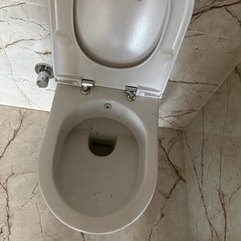 Pestvet Temizlik Beklentilerin Altında Kalmış Temizlik Hizmeti