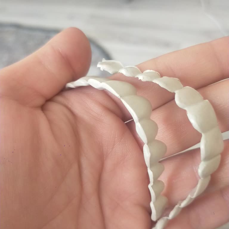 Pelav Ayakkabı Malzemeleri Yeni Nesil Diş Protezi Hayal Kırıklığı