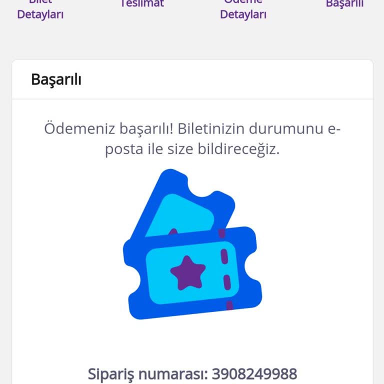 Seatpin Teslim Edilmeyen Bilet