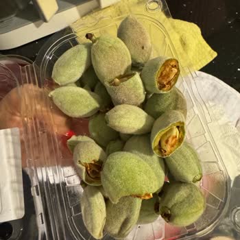 Getir Büyük Sorunu Ürünlerin Çürük Getirilmesi