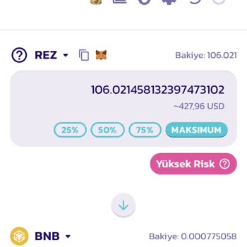 PancakeSwap Rez Coin Soru İşareti Var
